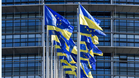 Украине «осталось 15 или 20 лет» до вступления в ЕС — Франция — RT World News