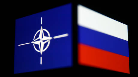 Запад проигнорировал интересы безопасности России — немецкий политик — RT Россия и бывший Советский Союз