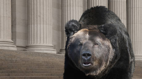 Фондовые индексы США упали до минимума за год — RT Business News