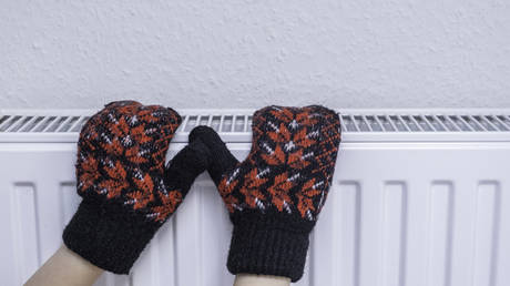 Германию предупредили о «трудной осени» и «суровой зиме» — RT Business News