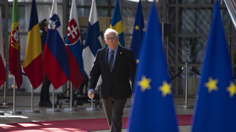 Названы сроки, когда Украина может стать кандидатом в члены ЕС — RT World News