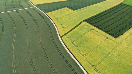 Немцев предупредили о дальнейшем росте цен на продукты — RT Business News