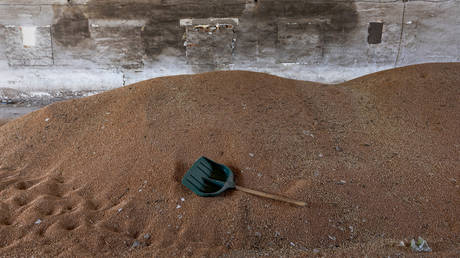 ООН прокомментировала обвинения в краже зерна — RT World News