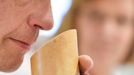 Посол Украины «сожалеет», что назвал канцлера Германии «обиженной ливерной колбасой» — RT World News