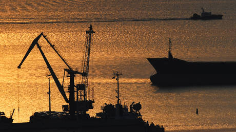 Роль России в мировом экономическом порядке оказалась более значимой, чем считали на Западе — RT Россия и бывший Советский Союз