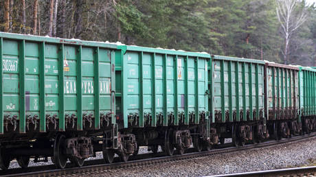 США комментируют блокаду российского эксклава — RT Россия и бывший Советский Союз