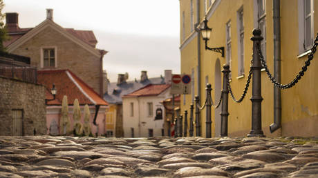 Страны ЕС оценивают последствия прекращения импорта из России и Беларуси — RT Business News