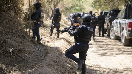 В перестрелке картеля погибли 11 человек и бронированная обезьяна (ФОТО) — RT World News