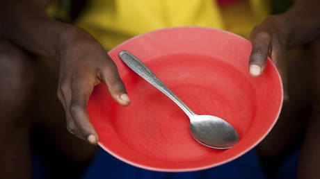 В случае мирового голода виноваты ЕС и США — Путин — RT World News