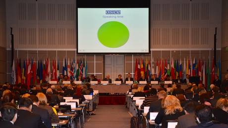 Великобритания отказала в визе российской команде ОБСЕ – сенатор — RT World News