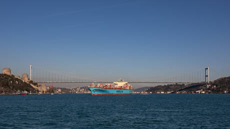 Военная горячая линия продвигает переговоры по украинскому зерну — RT Россия и страны бывшего Советского Союза