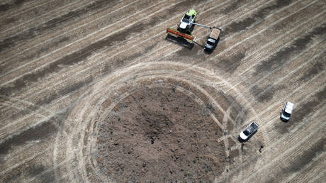 Глава МИД Украины прокомментировал переговоры с Россией по зерну — RT Россия и страны бывшего СССР