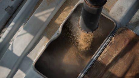 Киев раскрыл плановый объем экспорта зерна морем — RT Business News