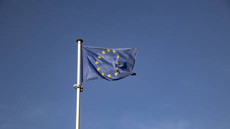 Российские «олигархи» требуют возмещения ущерба из-за санкций ЕС — WSJ — RT World News