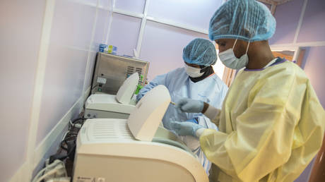 В Танзании от загадочной болезни умерли трое — RT World News