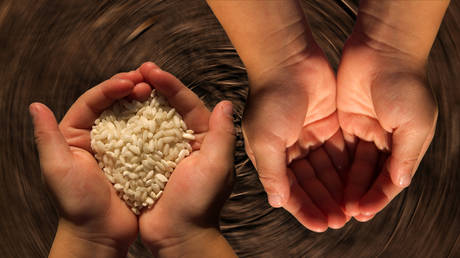 ВТО, МВФ и Всемирный банк призывают к снятию торговых ограничений — RT Business News