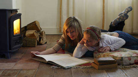 Британцы этой зимой топят дровяные печи, чтобы не замерзнуть — RT Business News