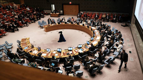 ООН призывает к расследованию убийства Дугиной — RT Россия и страны бывшего СССР