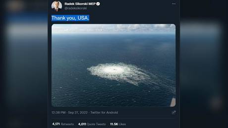 США похвалили за взрыв «Северного потока» — RT World News