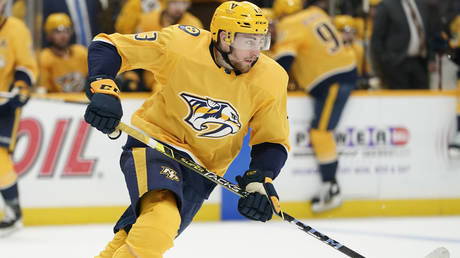 Страна ЕС опубликовала обновленную информацию о заявке звезд российского хоккея — RT Sport News