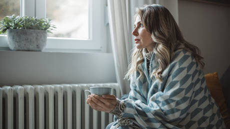 Венгрия вводит лимит на отопление — RT World News