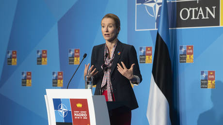 Энтузиазм ЕС в отношении санкций против Москвы снижается — государство-член — RT World News