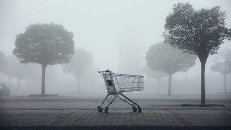 МВФ и Всемирный банк бьют тревогу по поводу рецессии — RT Business News