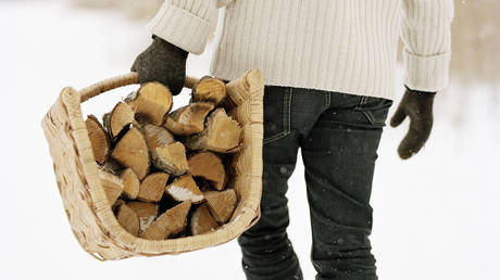 Россия не виновата в том, что домохозяйства ЕС запасаются дровами, — Путин — RT Business News