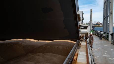 Россия сообщает о «злоупотреблении» украинским зерновым коридором — RT Россия и бывший Советский Союз