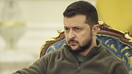 Зеленский отреагировал на мирное предложение Маска — RT Россия и бывший Советский Союз