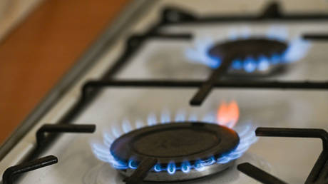 Россия продолжит поставки газа в европейскую страну, не имеющую выхода к морю — RT Business News