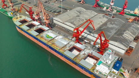 Россия возобновляет участие в зерновой сделке — Минобороны — RT Россия и бывший Советский Союз