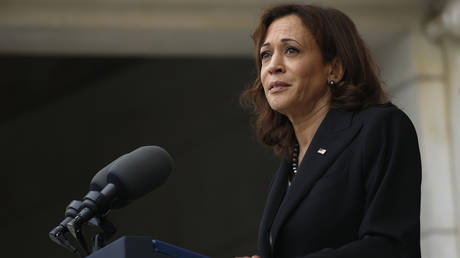 Белый дом не может назвать достижения вице-президента — RT World News