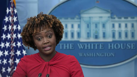 Белый дом отвергает утечку информации Маска из Твиттера — RT World News