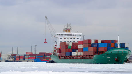 Товарооборот между Россией и странами СНГ достигнет $100 млрд — Путин — RT Business News