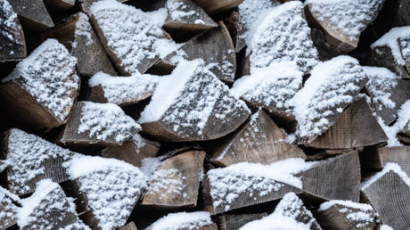 Финны запасаются дровами — Reuters — RT Business News