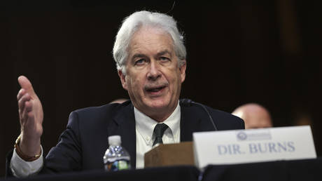 Глава ЦРУ проинформировал Зеленского о «следующих шагах России» — СМИ — RT World News