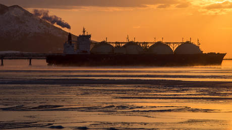 Российско-японский товарооборот растет, несмотря на санкции — СМИ — RT Business News