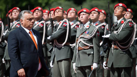 Член НАТО может отложить голосование по расширению — RT World News