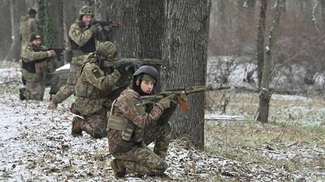 Глава МИД Пакистана ответил на заявление о причастности к конфликту на Украине — RT Россия и бывший Советский Союз