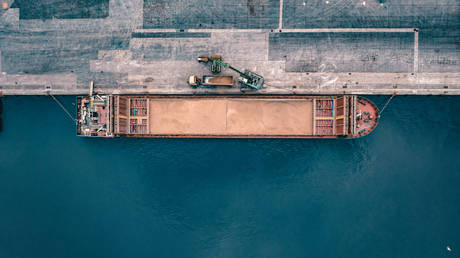 Экспорт российской сельхозпродукции в страны Персидского залива резко вырос — посол — RT Business News