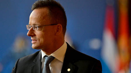 Страна ЕС критикует посла США за «вмешательство» — RT World News