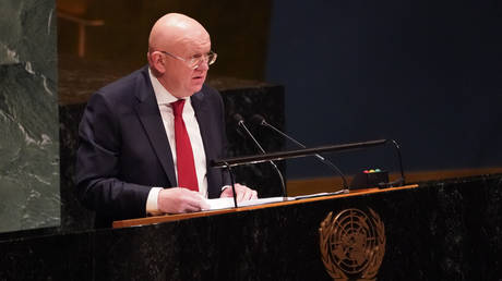 Запад командует делами в Украине — посол России — RT Россия и бывший Советский Союз