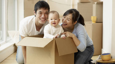 Китайская индустрия «аренды маток» угрожает США – аналитический центр