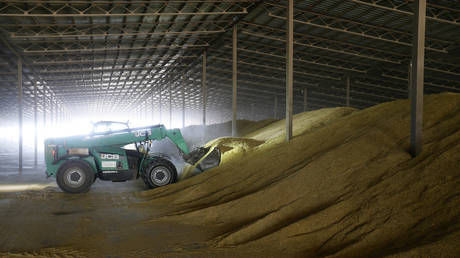 Украина согласилась прекратить экспорт зерна в Польшу — чиновник — RT Business News