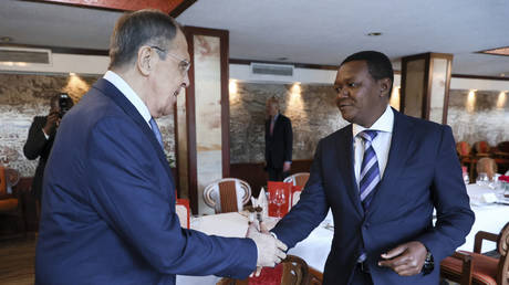 Африка намерена стать центром формирующегося многополярного мироустройства — Москва — RT Africa