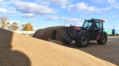 Переговоры по зерновой сделке зашли в тупик — ООН — RT Россия и бывший Советский Союз
