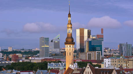 Эстония составляет план по переводу замороженных российских денег — СМИ — RT Business News