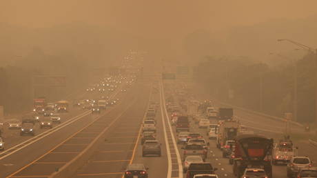 Водители Tesla хвалят «режим защиты от биологического оружия» — RT World News