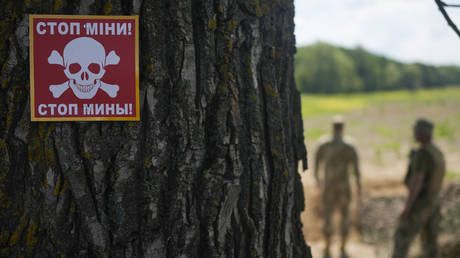 Демократы критикуют передачу кассетных бомб Украине — RT World News